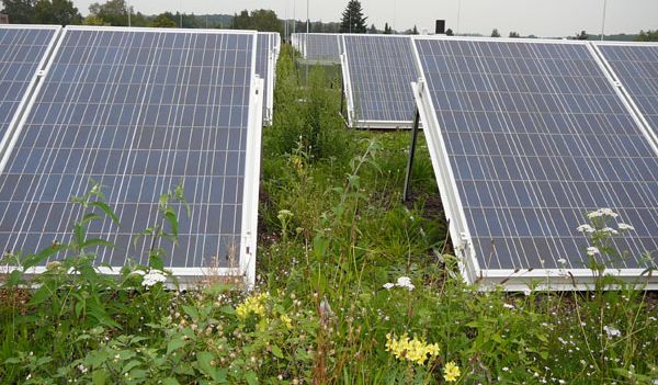 Gründach mit integrierter Photovoltaikanlage